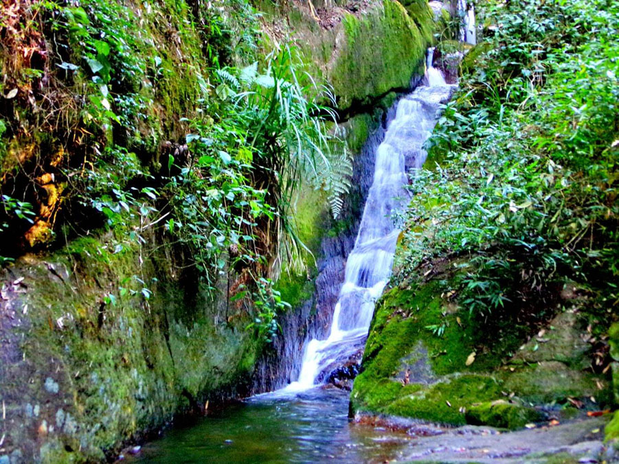 Circuito das Cachoeiras - Sítio Cachoeiras do Alcantilado - Visconde de Mauá-RJ