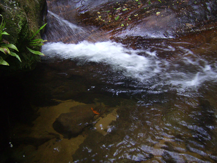 Circuito das Cachoeiras - Cachoeira dos Macacos - Visconde de Mauá-RJ