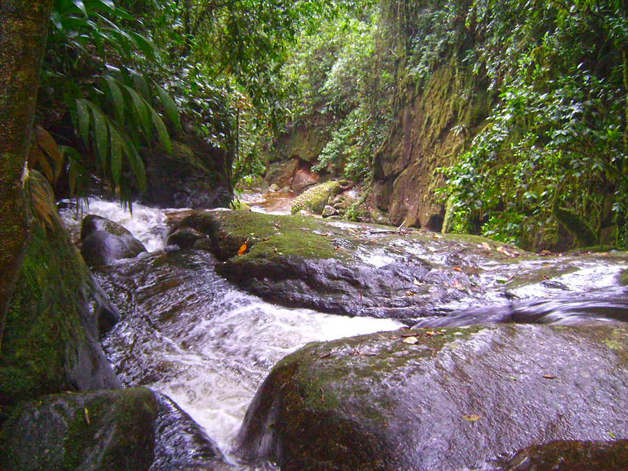 Circuito das Cachoeiras - Cachoeira Toca da Raposa - Visconde de Mauá-RJ