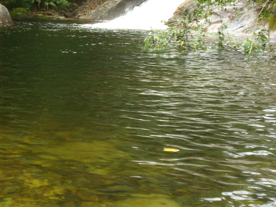 Circuito das Cachoeiras - Poço do Marimbondo - Visconde de Mauá-RJ