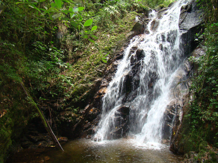 Pontos Turísticos - Parque Ecológico Cachoeiras do Santuário - Visconde de Mauá-RJ